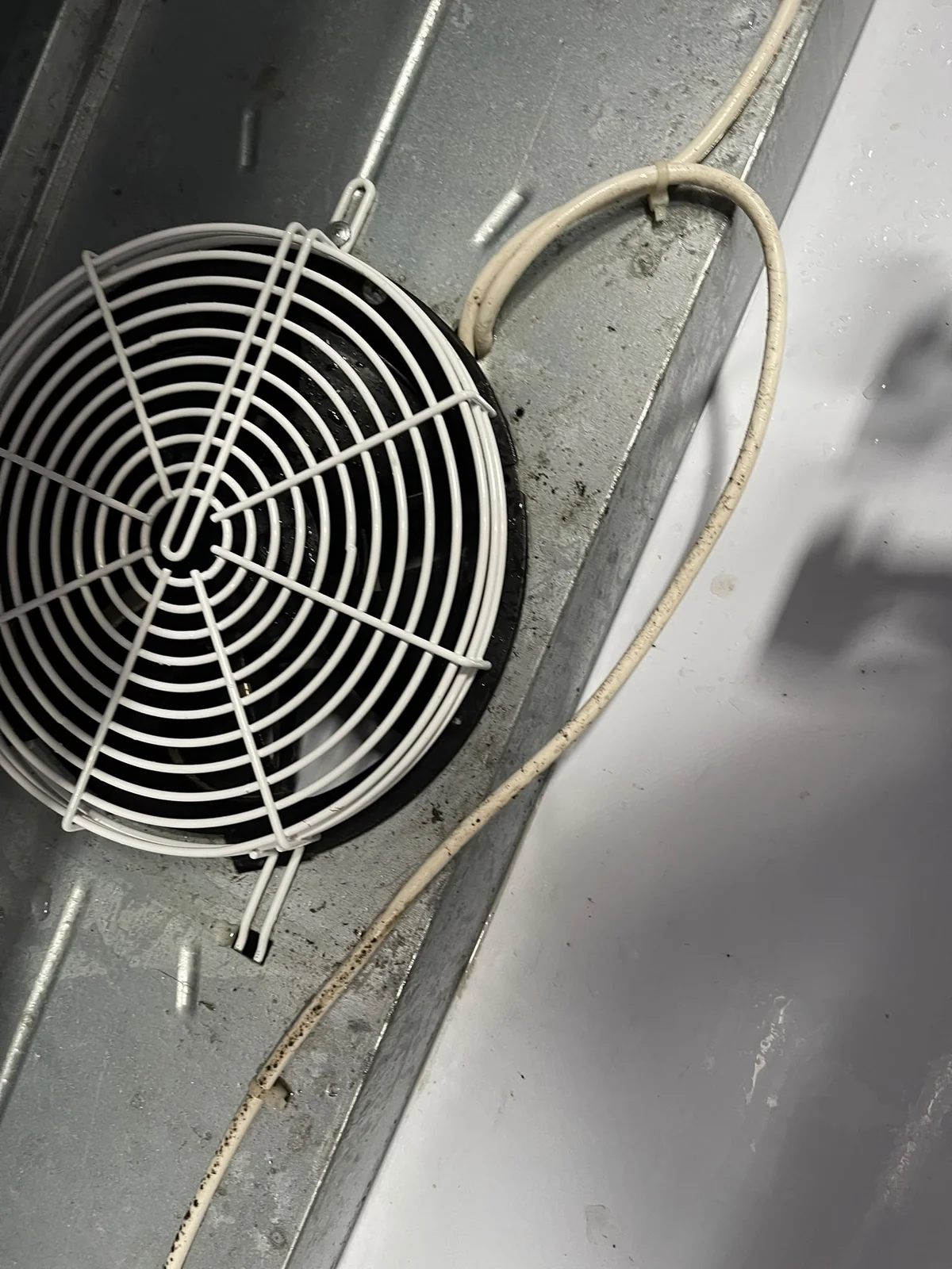 Ventilatore pulito e rimontato nella sua sede.